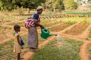 cq5dam.web_.1280.1280 (2)